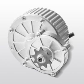 450W Electric Brushed DC Motor Kit 36V 3000rpm Motor With Upgraded Controller (Option: Silvery white)
